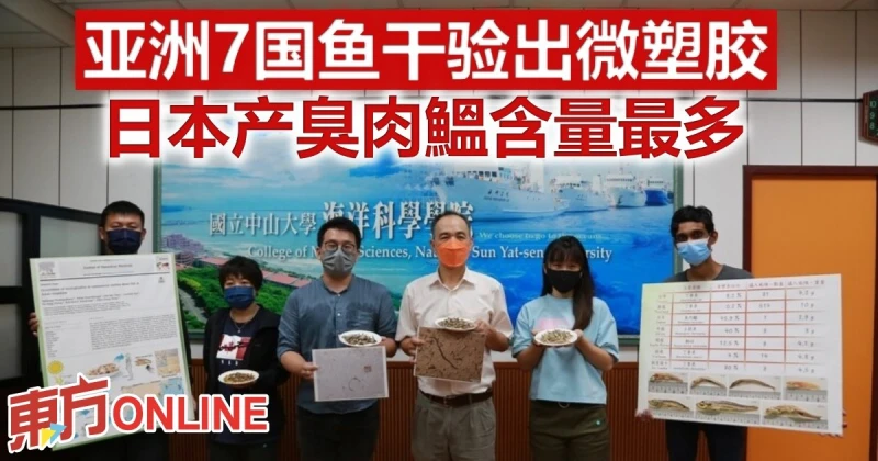 亞洲7國魚乾驗出微塑膠　日本產臭肉鰮含量最多