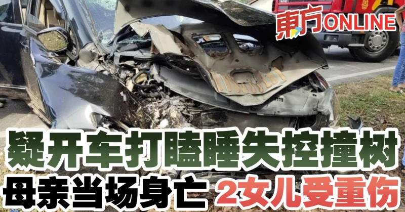 疑開車打瞌睡失控撞樹　母親當場身亡2女兒受重傷