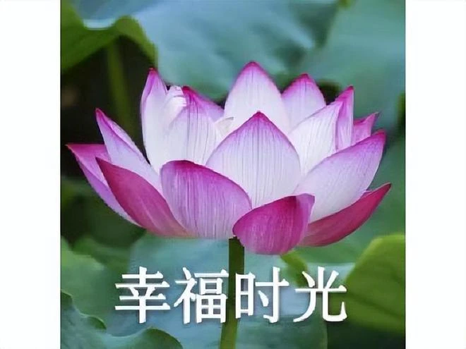 魔獸世界國服就要再見，陌生人互刷BUFF，還為朋友炸了網吧廁所