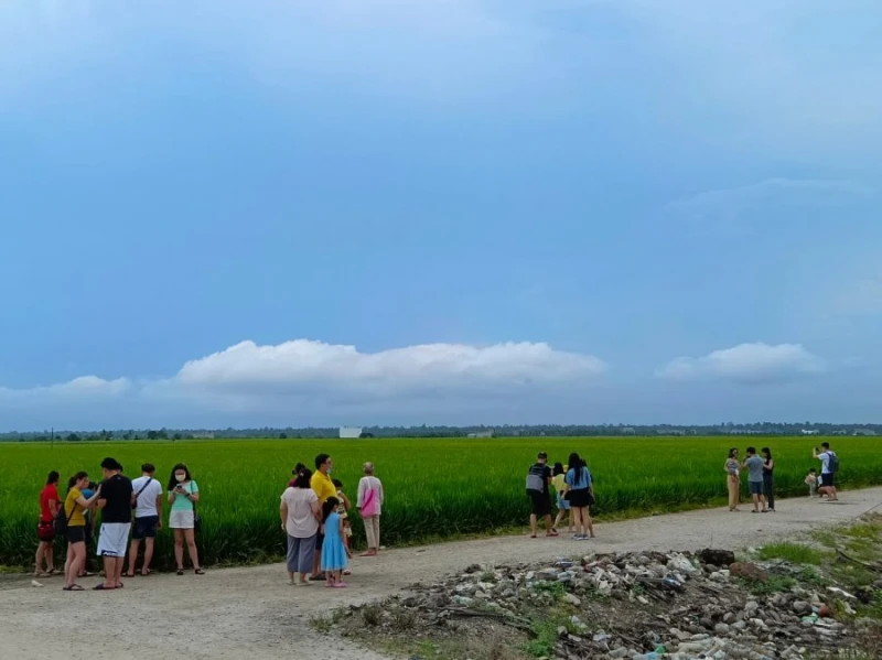 全國人潮湧現魚米之鄉 報復性旅遊擠爆適耕莊