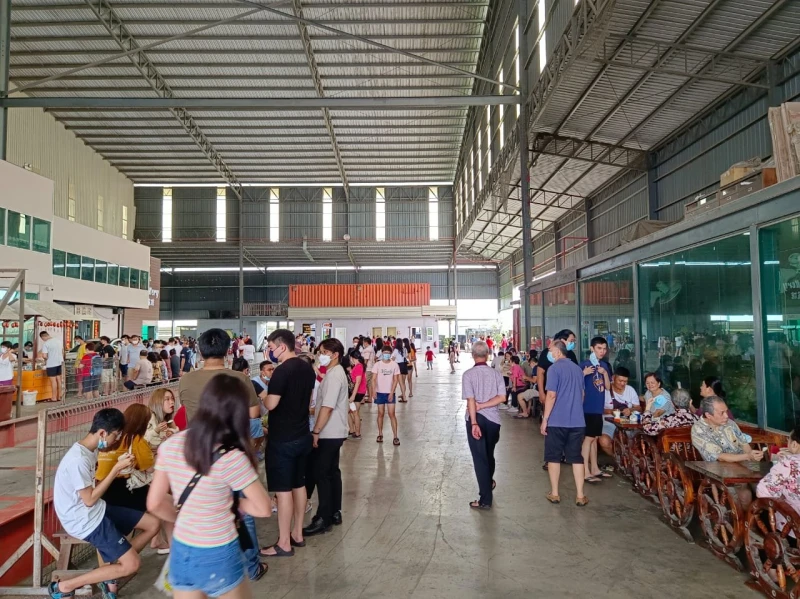 全國人潮湧現魚米之鄉　報復性旅遊擠爆適耕莊