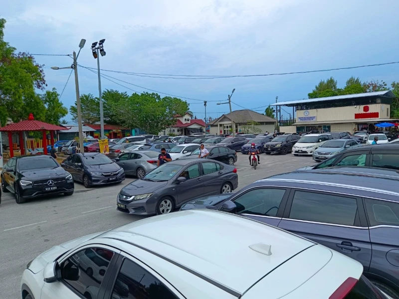 全國人潮湧現魚米之鄉　報復性旅遊擠爆適耕莊