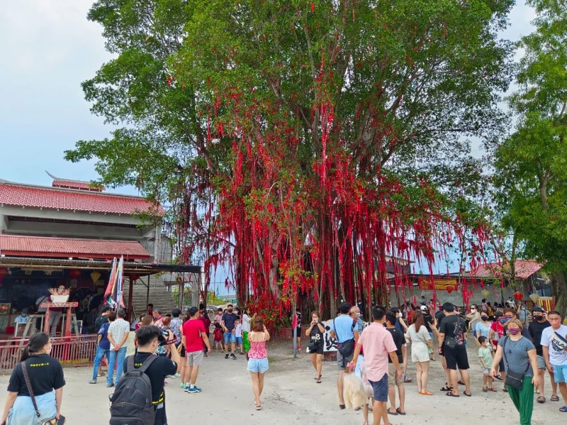 全國人潮湧現魚米之鄉　報復性旅遊擠爆適耕莊