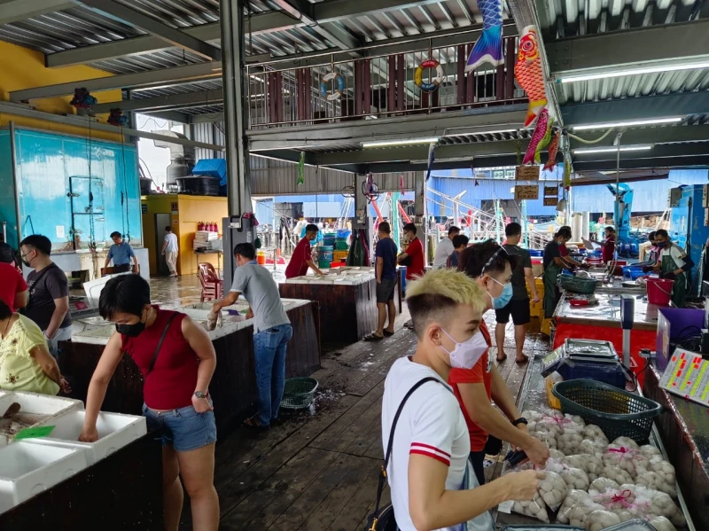 全國人潮湧現魚米之鄉　報復性旅遊擠爆適耕莊