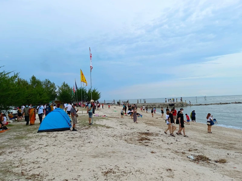 全國人潮湧現魚米之鄉　報復性旅遊擠爆適耕莊