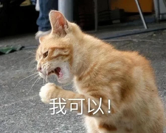 第二季度收入再增43% DNF真的要好起來了？