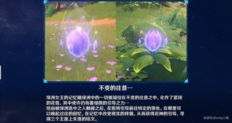 原神永恆綠洲的記憶怎麼做