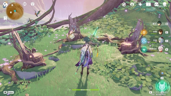 原神永恆綠洲三個記憶體在哪