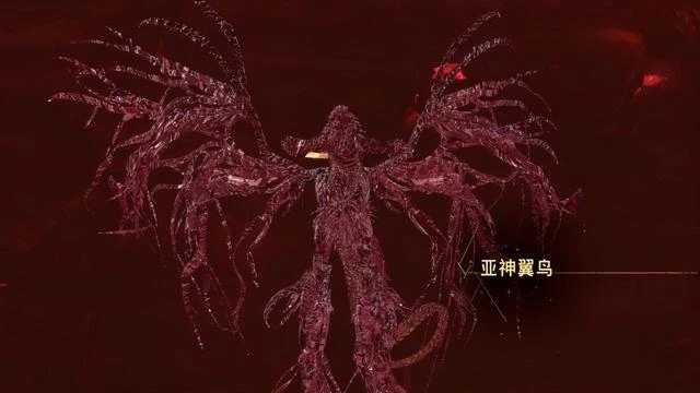 《魔咒之地》評測：關於在異世界撿箱子撿到昏厥這件事