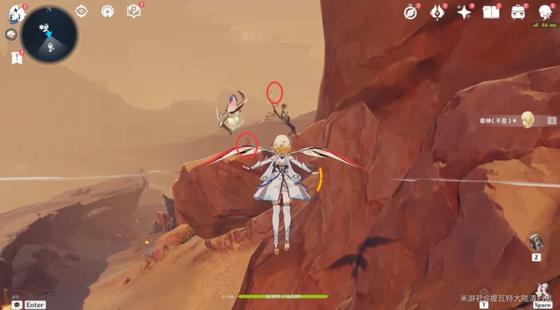 原神愚妄行宮寶箱攻略