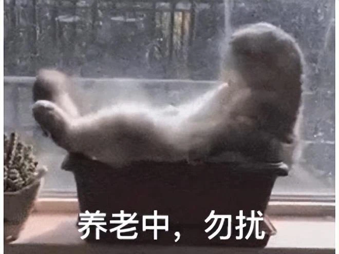 現在老人家這麼猛？87歲老爸玩《老頭環》，霸占兒子三萬元的電腦