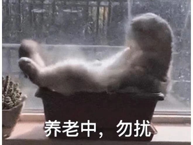 躺平玩遊戲，就能免費入住養老院？網友：90後的中老年收不收！