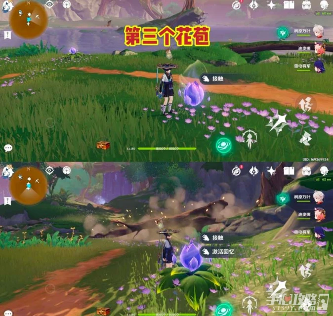 《原神》永恆綠洲的記憶解密攻略