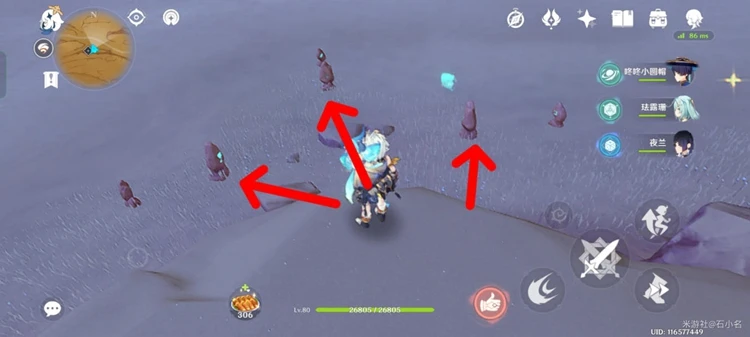 原神五綠洲之殿堂怎麼解鎖