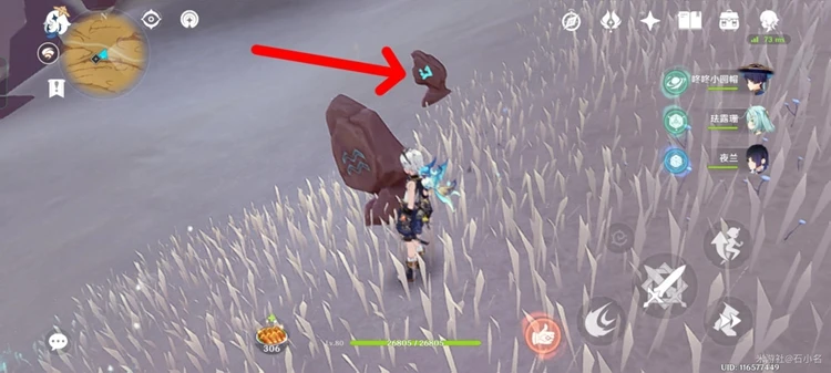 原神五綠洲之殿堂怎麼解鎖