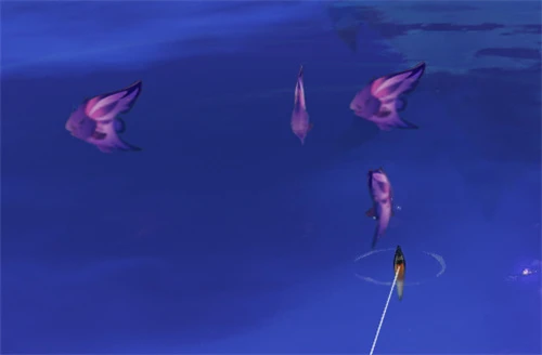 原神雷鳴仙位置有電怎麼辦