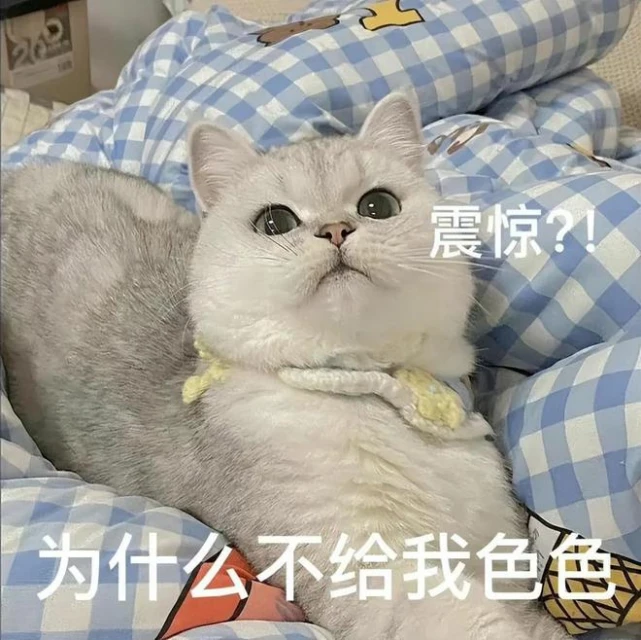 金亨泰2022年都做了啥？騰訊石油佬搶著收購，LSP創豐功偉績！