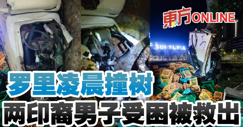 羅里凌晨撞樹     兩印裔男子受困被救出