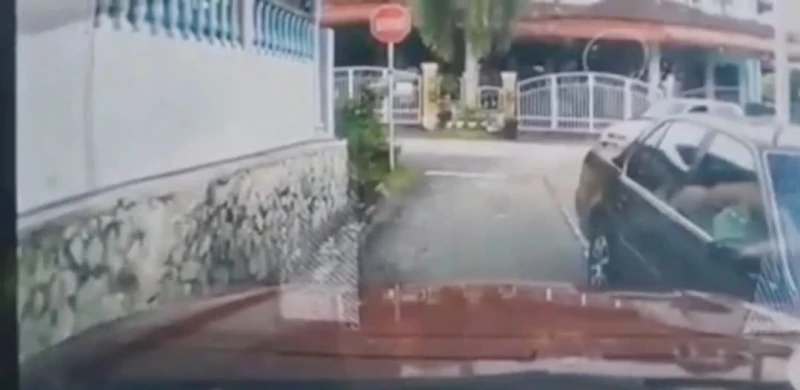 中年男司機持木材傷人　甲州警方將逮捕嫌犯開檔調查