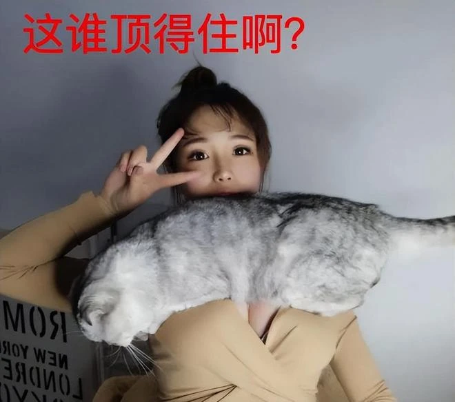 盤點今年的兔女郎們！「油膩」的極致魅惑，韓國人最懂了？