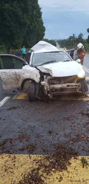 邁威撞路旁大樹　女子頭部重傷不治