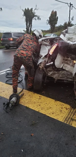 邁威撞路旁大樹　女子頭部重傷不治