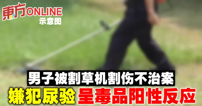 男子被割草機割傷不治案　嫌犯尿驗呈毒品陽性反應