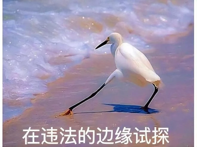 暴雪國服停運，魔獸私服路子卻野起來了？不知火舞大戰獸人士兵！