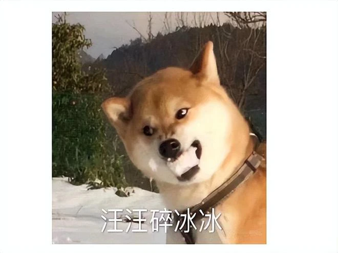 暴雪國服開始退款，排隊人數破百萬，網友：有種離婚退份子的感覺