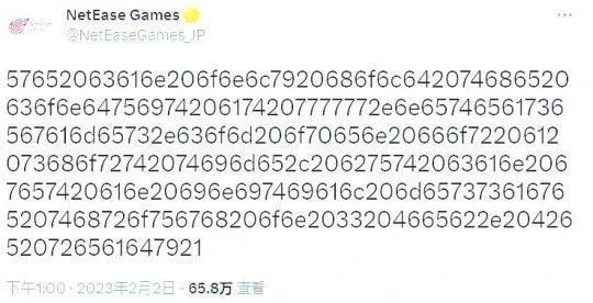 網易日本公布新情報：一長串密碼疑似暗示即將公布