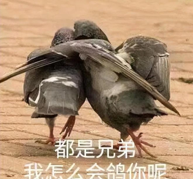 1月熱點遊戲接連過審，23年版號或有放寬跡象？