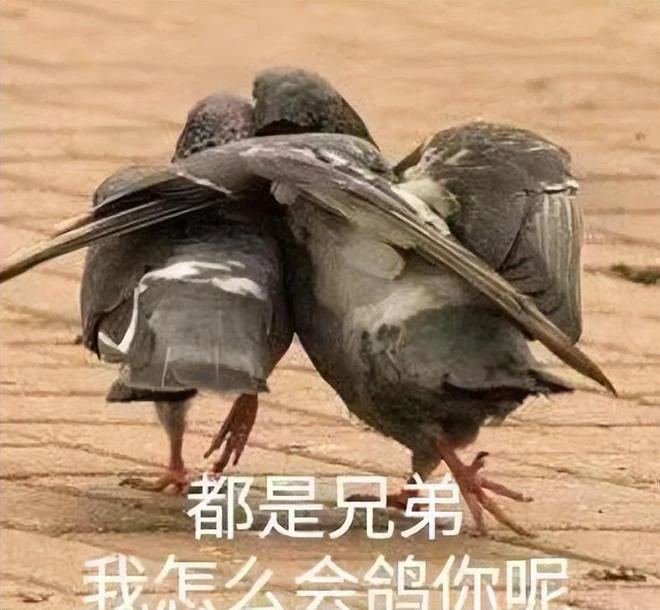 1月熱游情報：熱點遊戲接連過審 暴雪國服不得「善終」