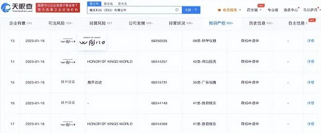 暴雪國服關停十天，有人退了十年月卡，有人堂而皇之搞起私服