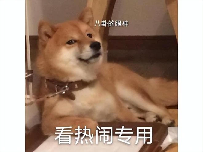 玩得一手好營銷！高一輟學做遊戲，遊戲沒做好包裝自己倒很溜？