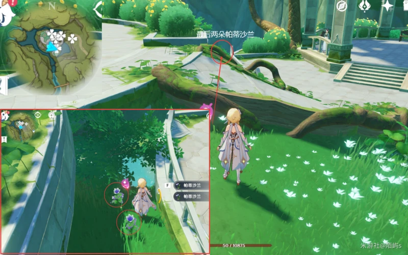 原神帕蒂沙蘭採集路線2023