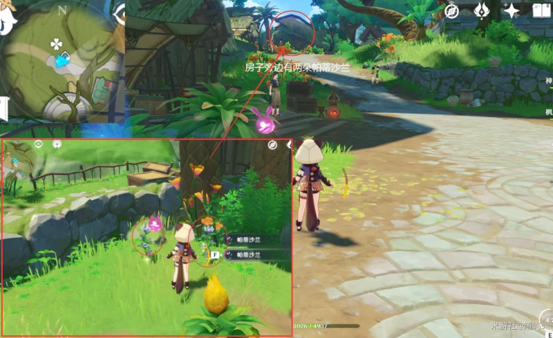 原神帕蒂沙蘭採集路線2023