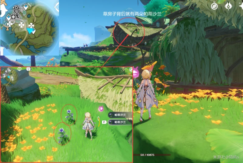 原神帕蒂沙蘭採集路線2023