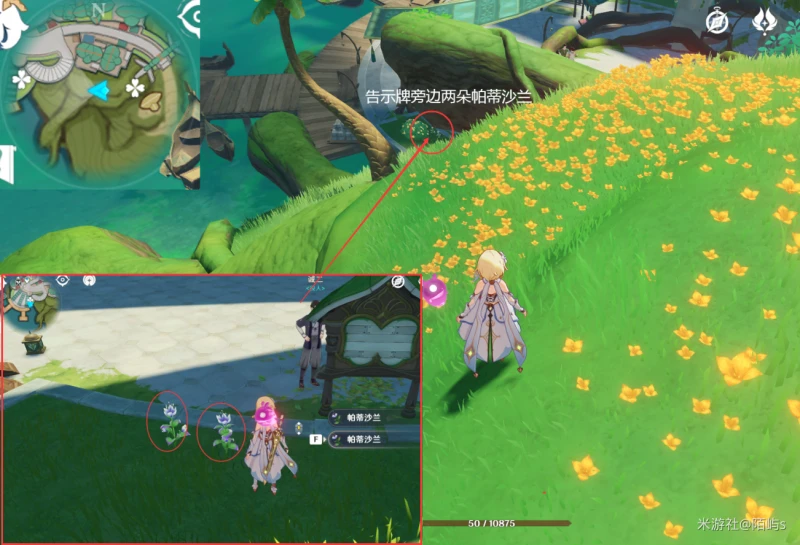 原神帕蒂沙蘭採集路線2023