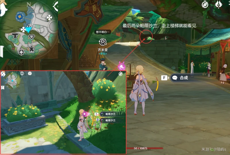 原神帕蒂沙蘭採集路線2023