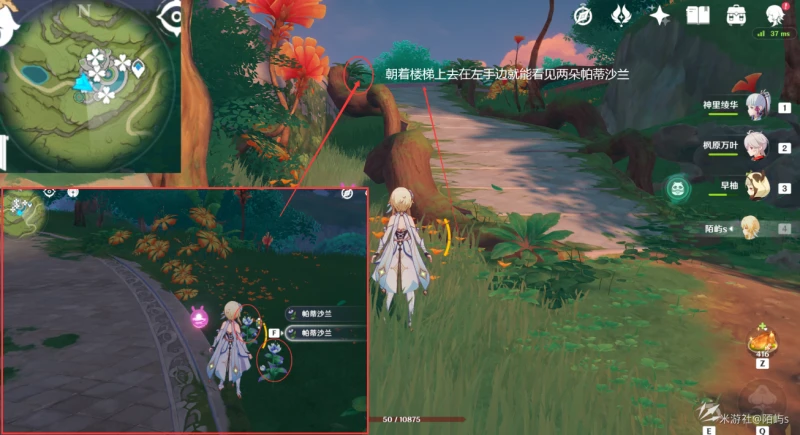 原神帕蒂沙蘭採集路線2023