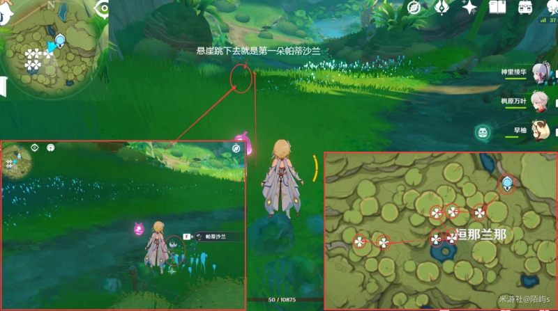 原神帕蒂沙蘭採集路線2023