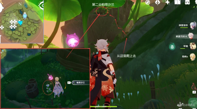 原神帕蒂沙蘭採集路線2023