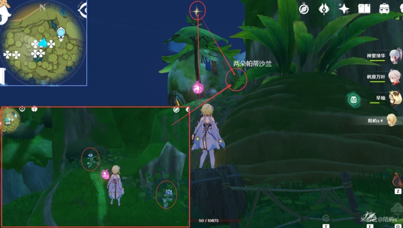 原神帕蒂沙蘭採集路線2023