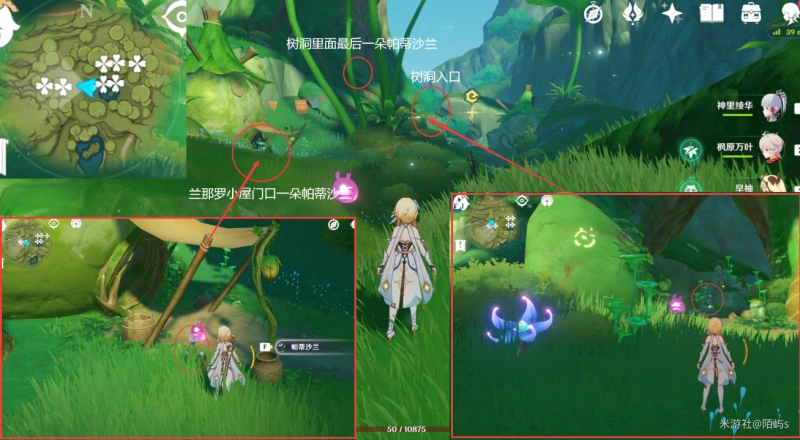 原神帕蒂沙蘭採集路線2023