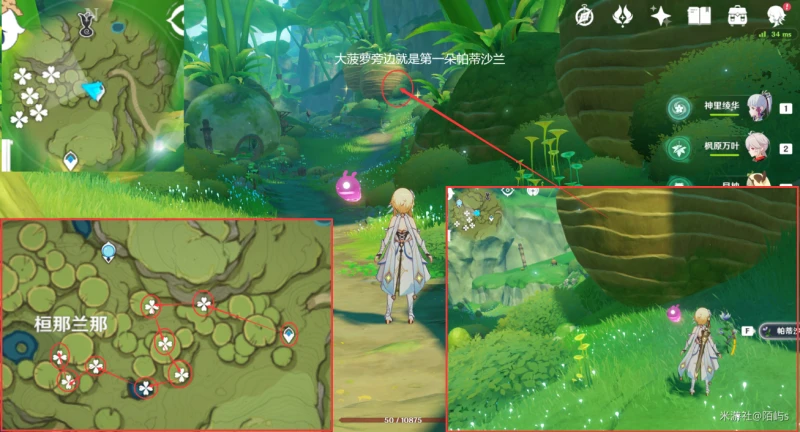 原神帕蒂沙蘭採集路線2023