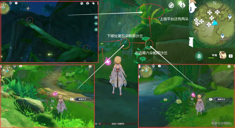 原神帕蒂沙蘭採集路線2023