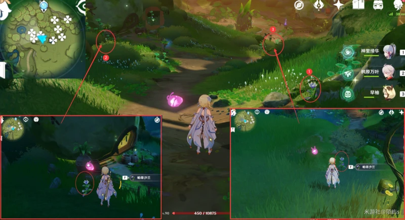 原神帕蒂沙蘭採集路線2023