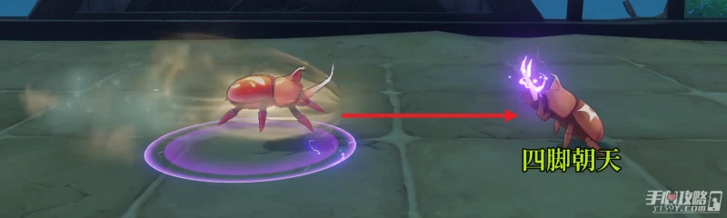 《原神》荒瀧極意堂堂斗蟲大試合第二天通關攻略