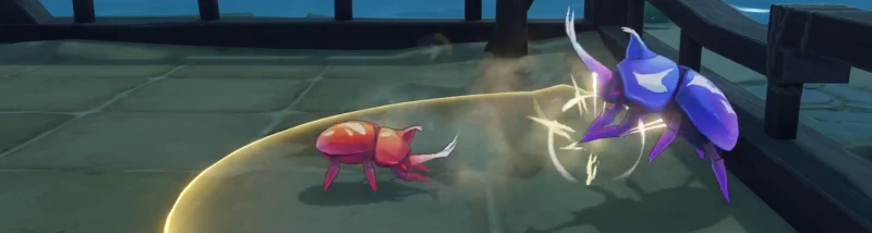 原神荒瀧斗蟲大賽第五關攻略