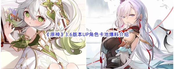 《原神》3.6版本up池角色一覽